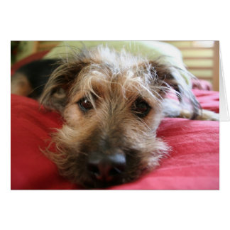 ¿Cómo está usted?