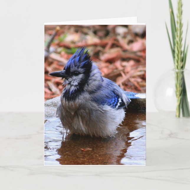 Cómo estaba su tarjeta del día (Anverso)