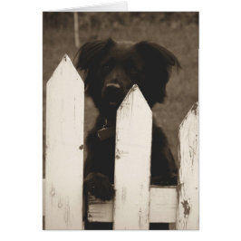 ¿cómo están las cosas?