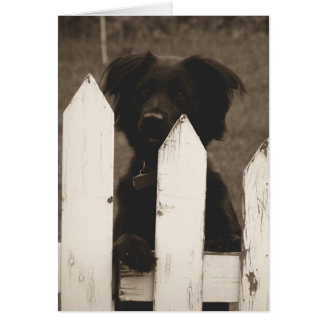 ¿cómo están las cosas? (Frente)