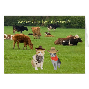 ¡Cómo están las cosas abajo en el rancho?!