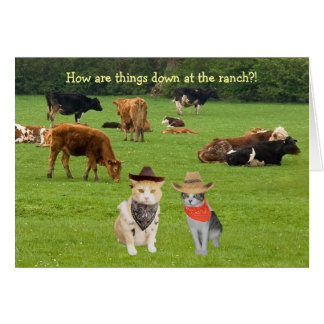 ¡Cómo están las cosas abajo en el rancho?!
