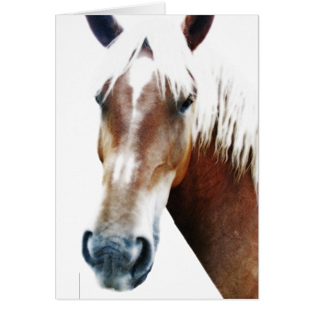 ¿cómo estás? (Frente)