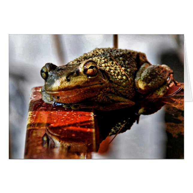 ¿Cómo estás? (Anverso (Horizontal))