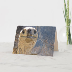 ¿Cómo Estás? Tarjeta de felicitación Tortoise