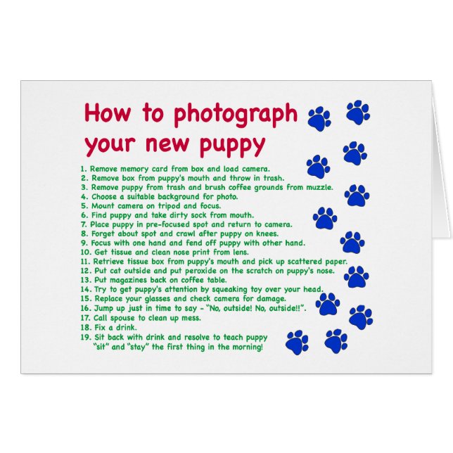 Cómo fotografiar a tu nuevo cachorro (Anverso (Horizontal))
