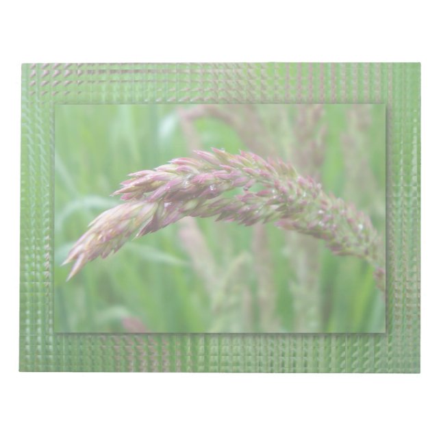 Cómo la hierba crece en el Bloc de notas (Frente)