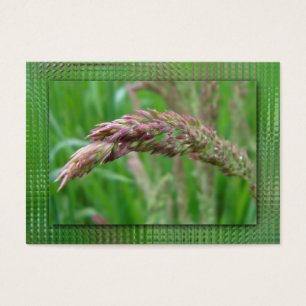 Cómo la hierba hace marcadores