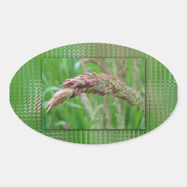 Cómo la hierba hace Pegatinas (Anverso)