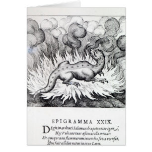 Como las vidas del Salamander en fuego