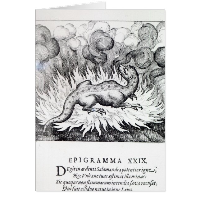 Como las vidas del Salamander en fuego (Frente)