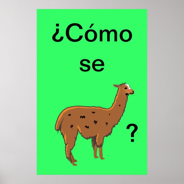 ¿Cómo se llama? Póster (Frente)