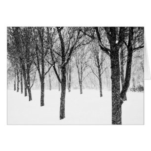 como si estuviera del lado de los árboles