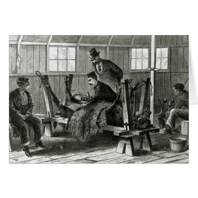 Cómo tomar el virus de la pantorrilla (Anverso (Horizontal))