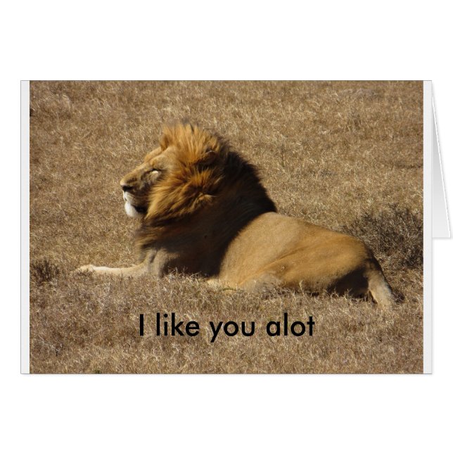 Como tú, mucho (Anverso (Horizontal))