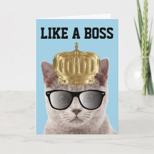 COMO UNA TARJETA DE BOSS BIRTHDAY CAT