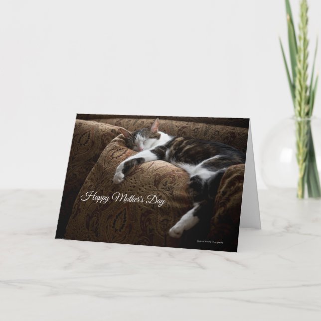Cómoda tarjeta del día de la madre de un gato amig (Anverso)