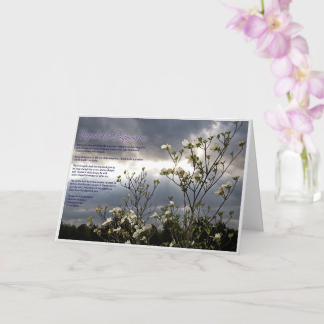 Comodidad Eterna: Una tarjeta de simpatía cristian (Orquídea)