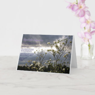 Comodidad Eterna: Una tarjeta de simpatía cristian