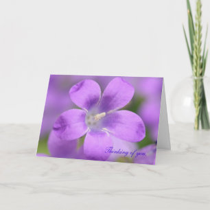 Compañero. Pensando en ti, tarjeta