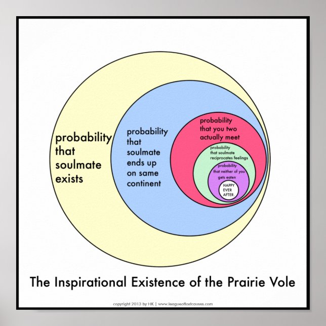 Compañeros de alma: posters (Frente)