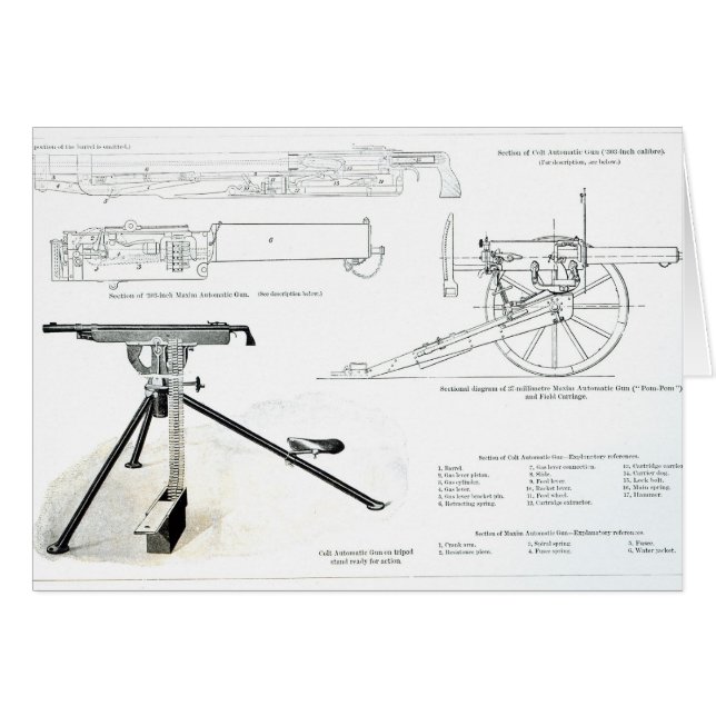 Comparación del arma automático del potro (Anverso (Horizontal))