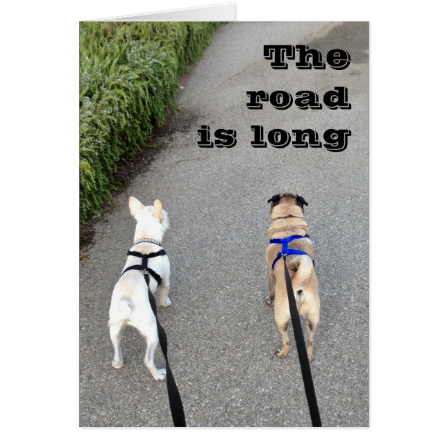 Comparta el viaje (Frente)