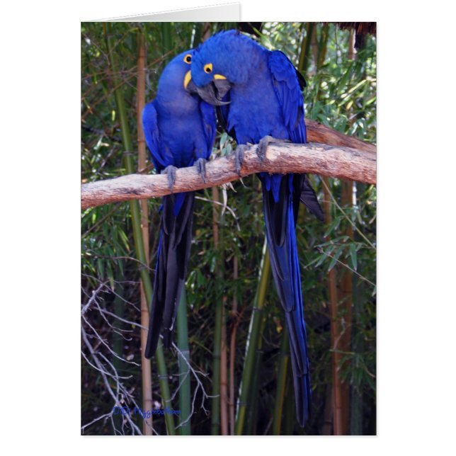 Compartir secretos (Frente)