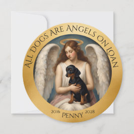 Compasión por la pérdida de tu ronda de Dachshund