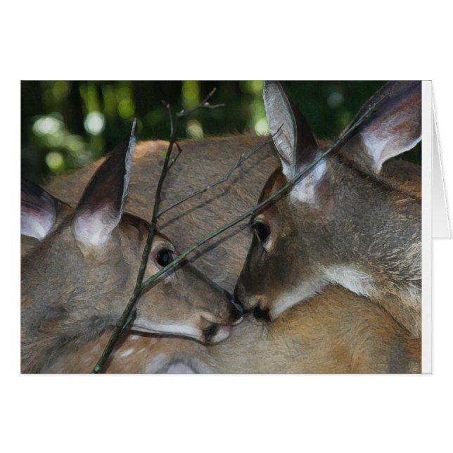 Compasión y respecto de la naturaleza (Anverso (Horizontal))