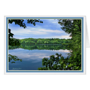*Compensación en cada decepción: Walden Pond