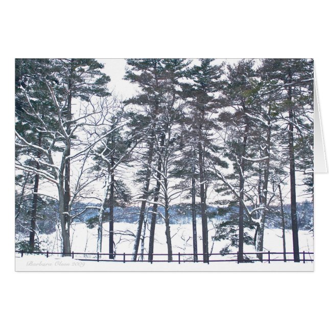 Compensación en toda decepción (Anverso (Horizontal))