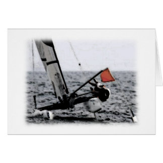 Competencia Vela Catamarán