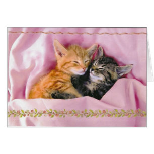 Compinches durmientes; Tuckered hacia fuera