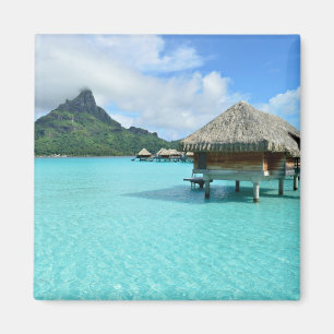 Complejo acuático con imán Bora Bora