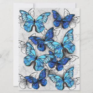 Composición de las mariposas blancas y azules