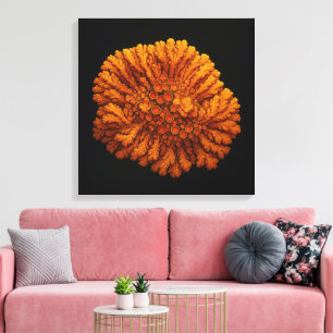 Composición de Lichen - Imprimir arte de lienzo