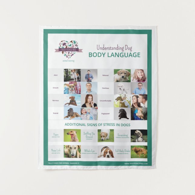 Comprender el tapiz del lenguaje del cuerpo del pe (Anverso)