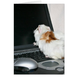 Comprobando correo electrónico