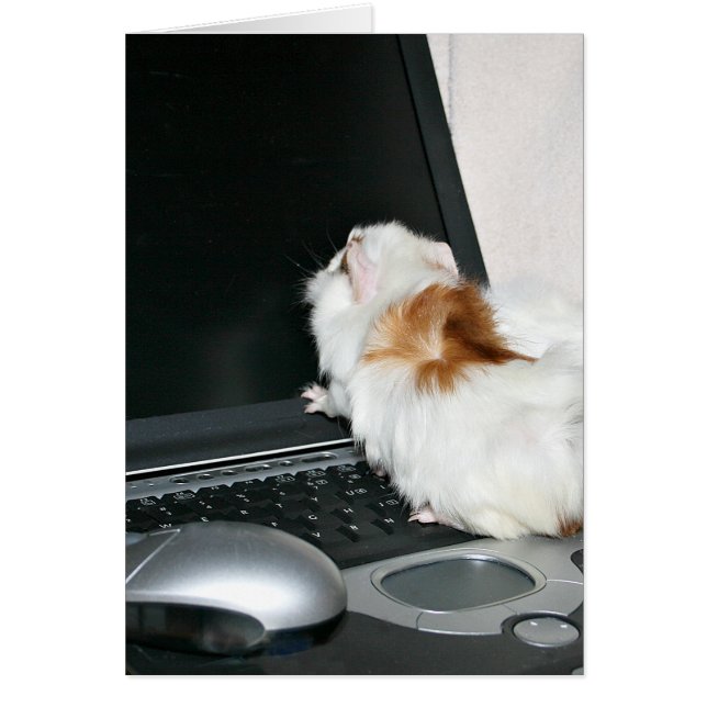 Comprobando correo electrónico (Frente)