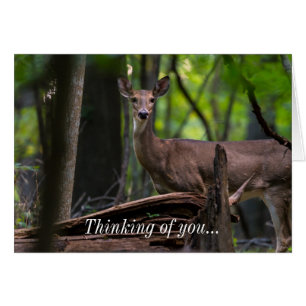 Comprobando El Pensamiento De Su Tarjeta