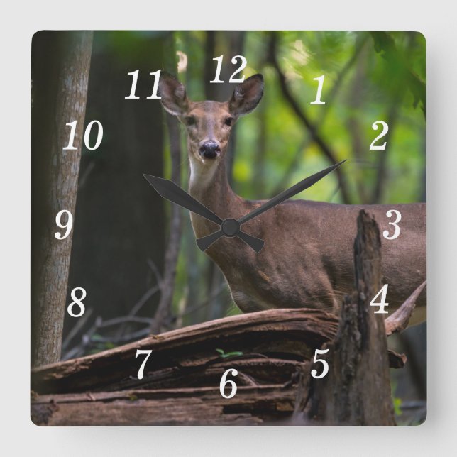 Comprobando el reloj de pared (Anverso)