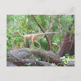 Compsognathus - Dinosaurio - Tarjeta de aprendizaj