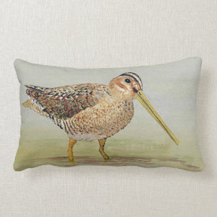 Común ataque desde un escondite la almohada