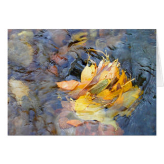 Comunidad de Cynthia Wenslow