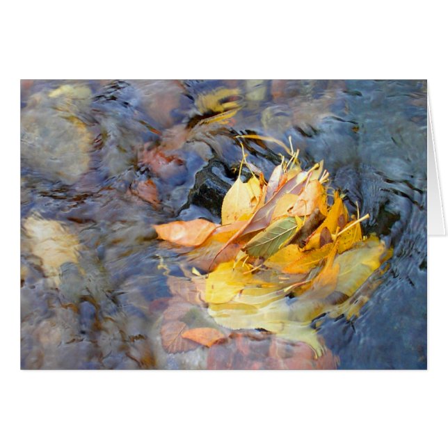 Comunidad de Cynthia Wenslow (Anverso (Horizontal))