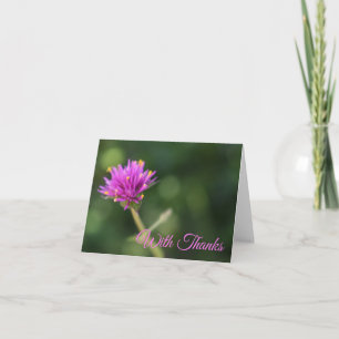 Con agradecimiento Naturaleza Fotografía Flor Púrp