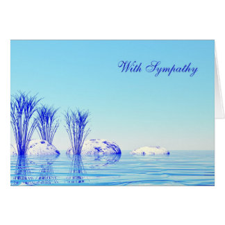 Con compasión por el agua pacífica