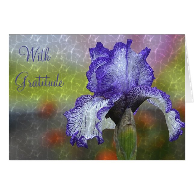 "Con Gratitud" Gracias (Anverso (Horizontal))