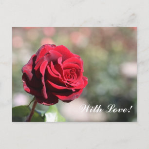 Con la postal del amor